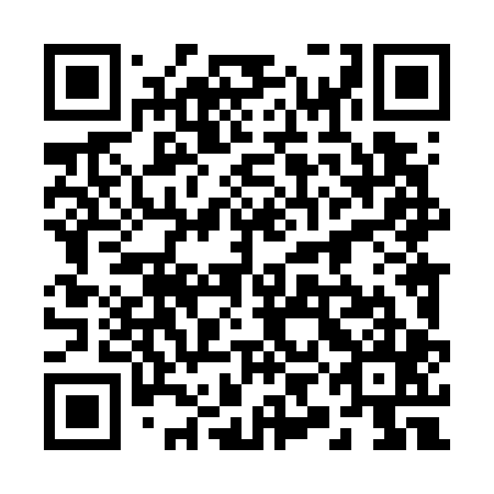 QR code for 29L 705