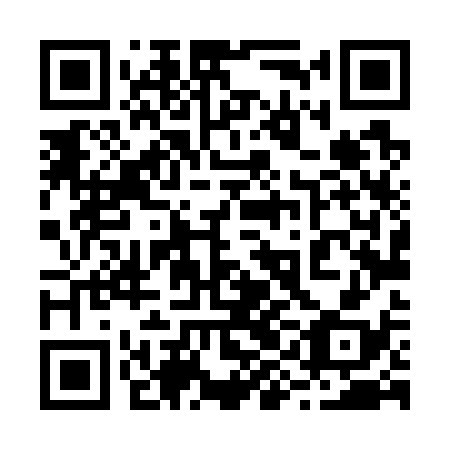 QR code for 29L 738