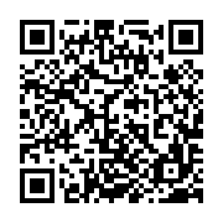 QR code for plate 29L 096