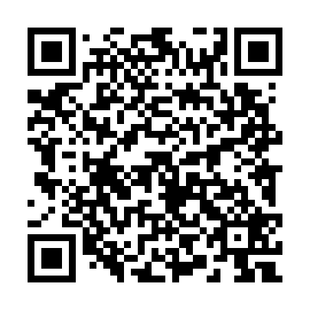 QR code for 29L729