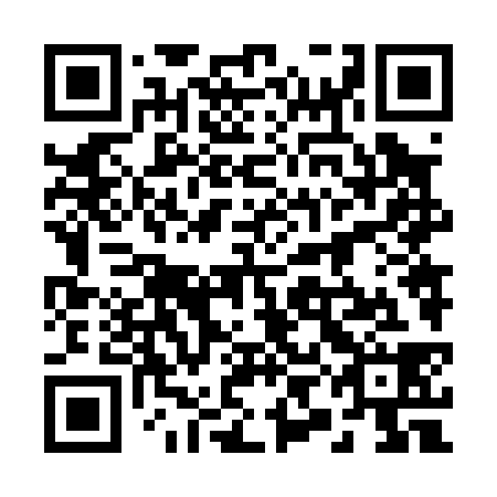 QR code for 29N 038