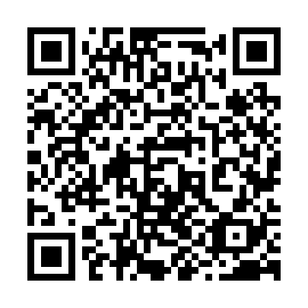 QR code for 29N 228