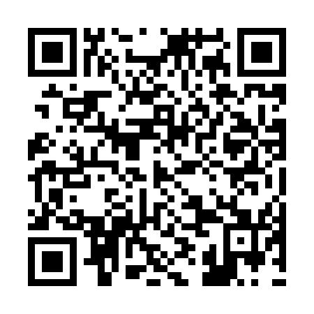 QR code for 29N 851
