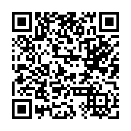QR code for plate 29N 150