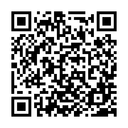 QR code for 29N286