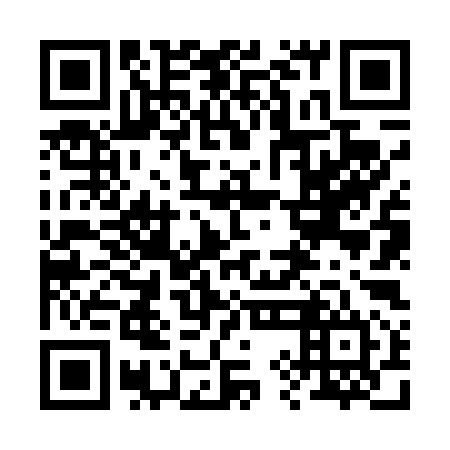 QR code for 29N494