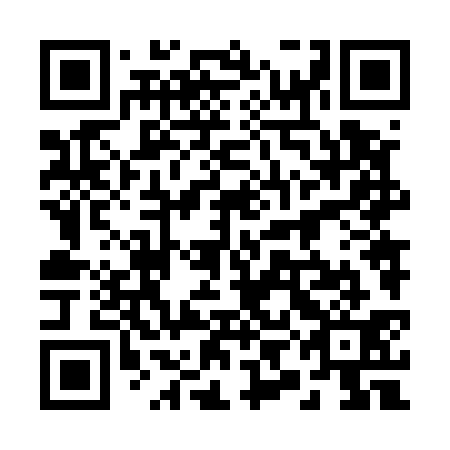 QR code for 29N531