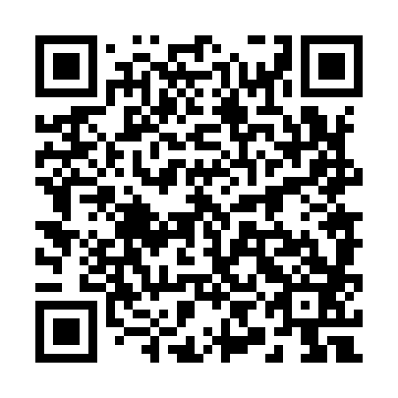 QR code for 29N983