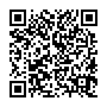QR code for plate 29O 385