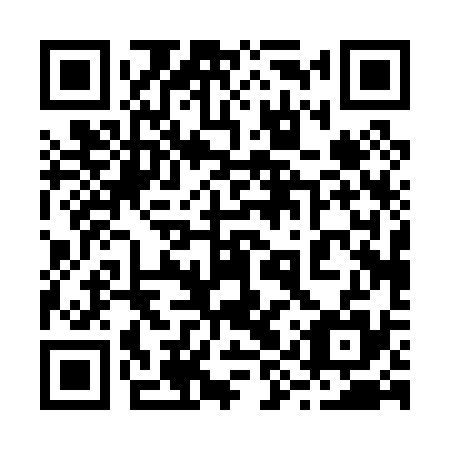 QR code for 29P 035