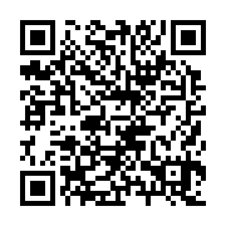 QR code for 29P 335