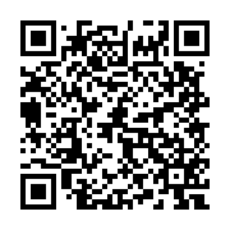 QR code for 29P 555