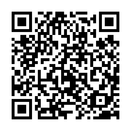 QR code for 29P 698