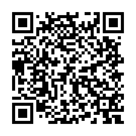QR code for 29Q 550