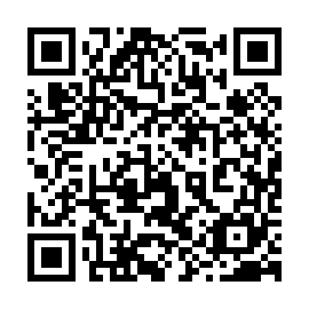 QR code for 29Q065