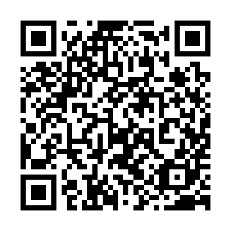 QR code for plate 29Q 380