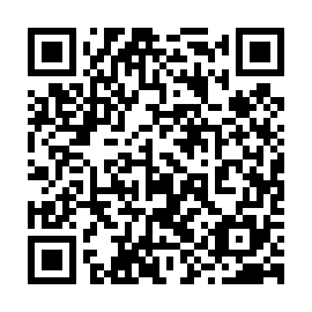 QR code for plate 29Q 475