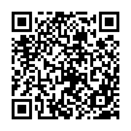 QR code for 29Q546