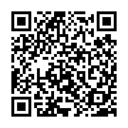 QR code for plate 29Q 658