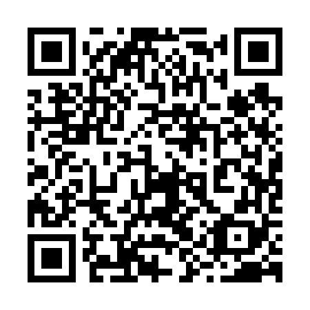 QR code for 29Q668