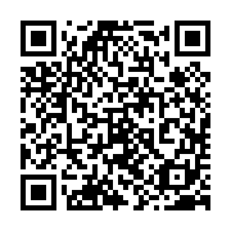QR code for plate 29R 051