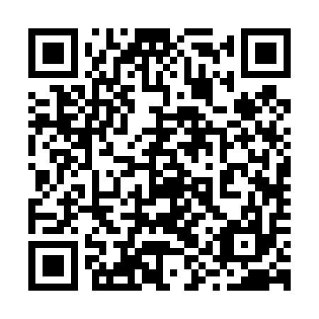 QR code for plate 29R 417