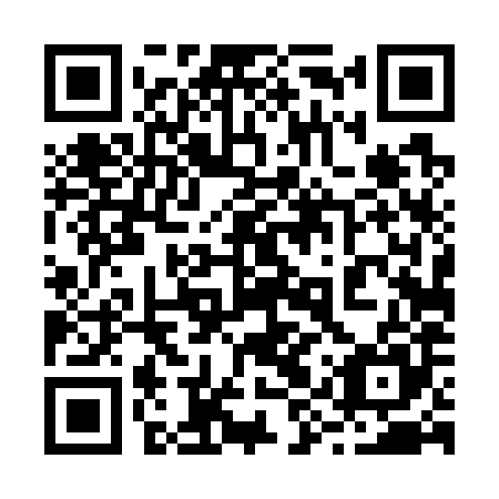 QR code for 29T 785
