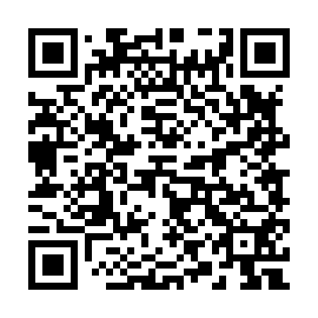 QR code for 29T 850