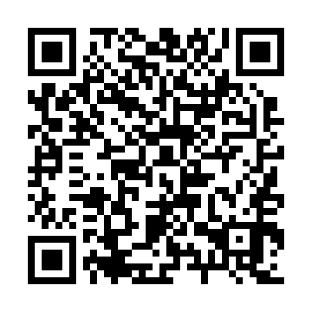 QR code for 29T250