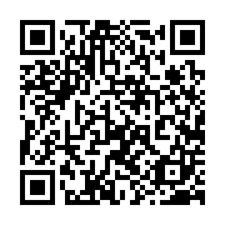 QR code for 29T303