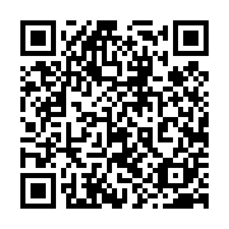 QR code for plate 29T 401
