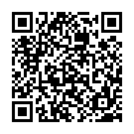 QR code for plate 29T 516