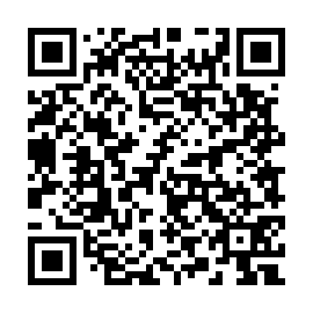 QR code for 29T571