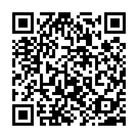 QR code for 29U 519
