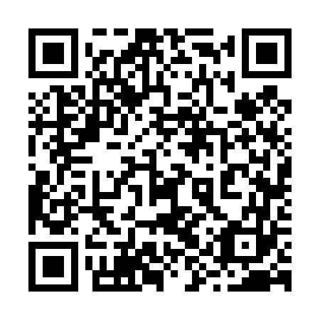 QR code for 29V463