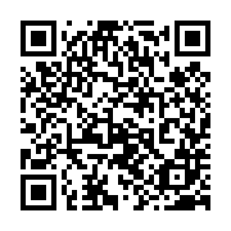 QR code for 29W482