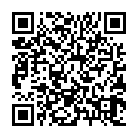 QR code for 29W509
