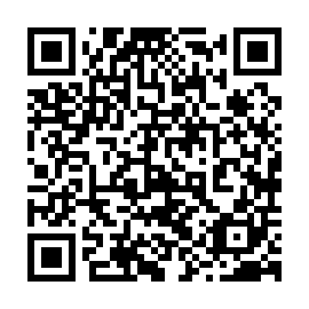 QR code for 29X 100