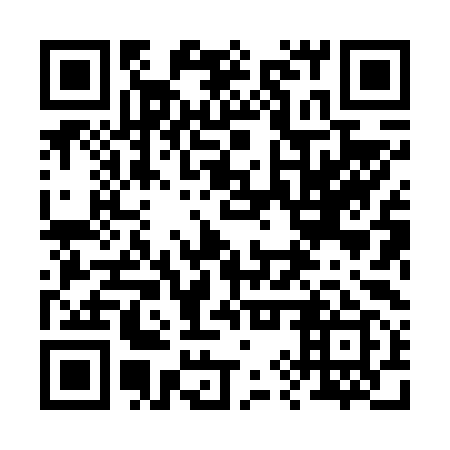 QR code for 29X 699