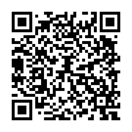 QR code for 29X497
