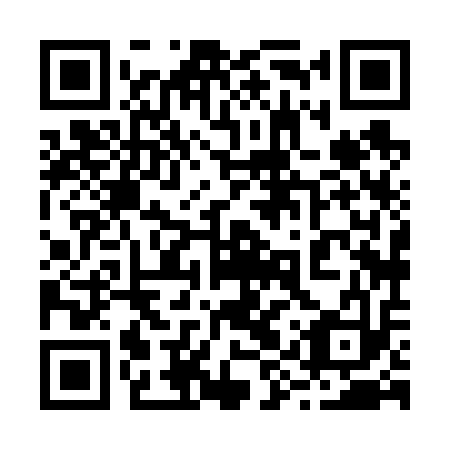 QR code for plate 29X 613