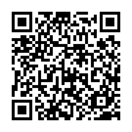 QR code for plate 29X 727