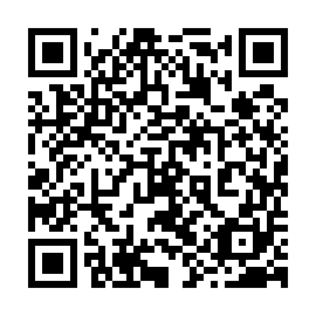 QR code for 29Y550