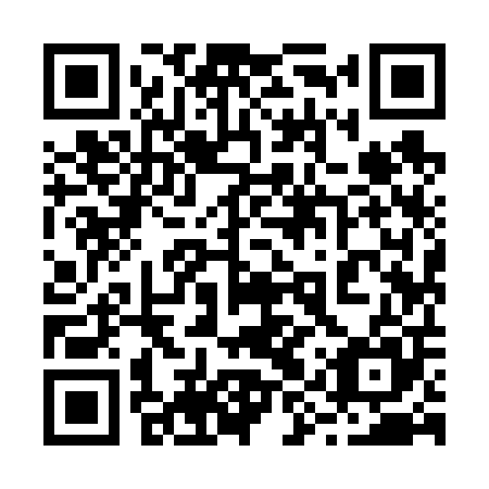 QR code for plate 29Y 605