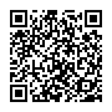 QR code for 29Y779