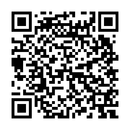 QR code for 29Z 650