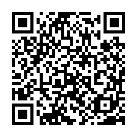 QR code for 29Z251