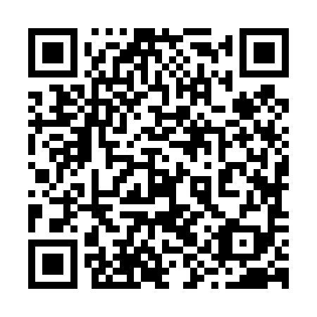 QR code for plate 29Z 499