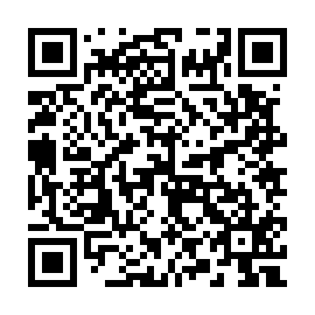 QR code for 29Z515