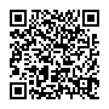 QR code for 29Z600